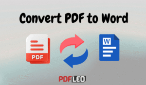 PDF to Word converter
